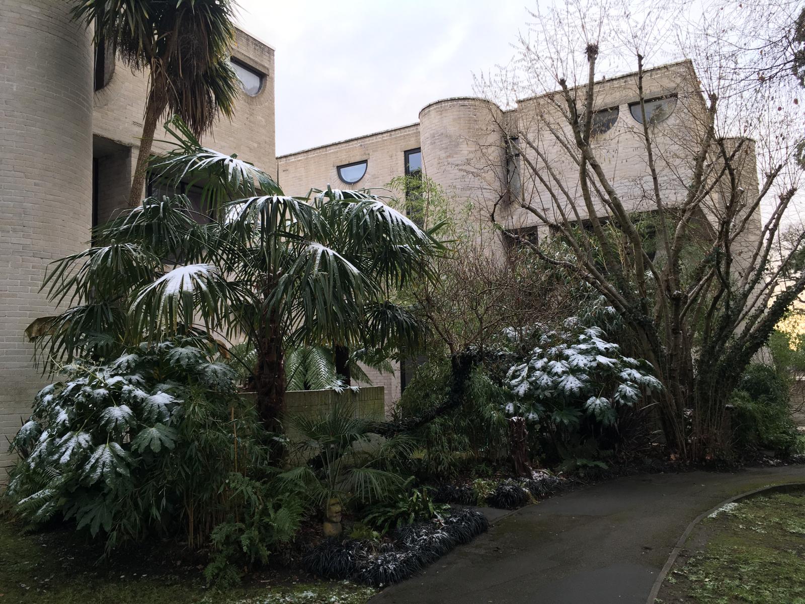 Exterior in Snow