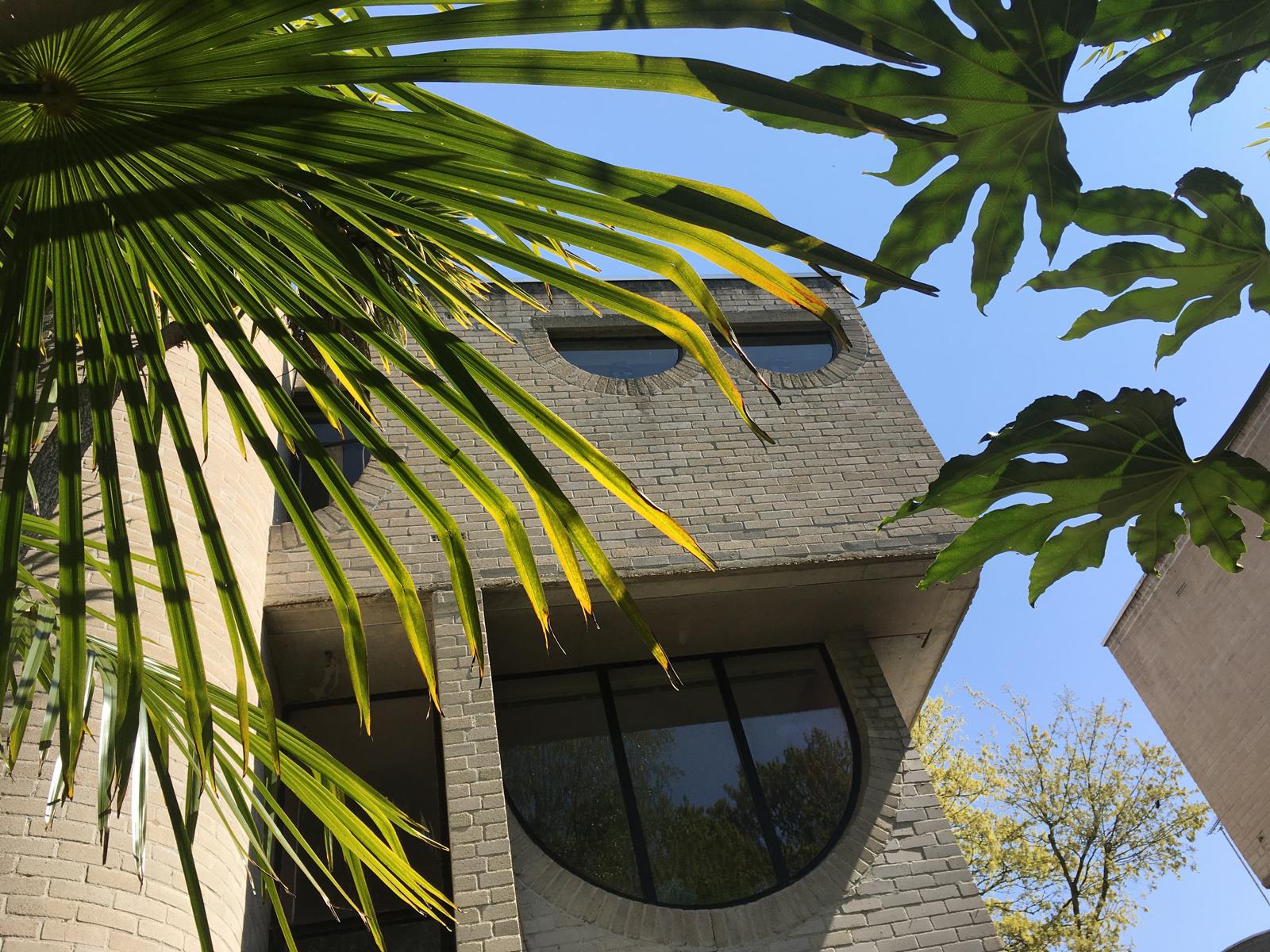 Exterior Through Palm Fronds