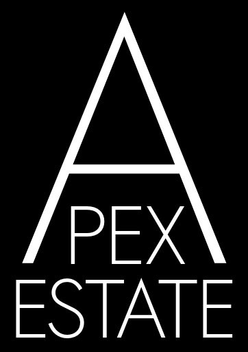 Apex 2022 Brand Identity